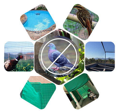 Anti Bird Net Dealer In Patna